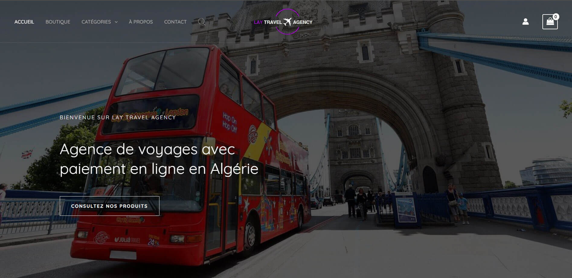 e-commerce site development Algiers Algeria